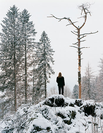 Foto Torbjørn Rødland, In a Norwegian Landscape