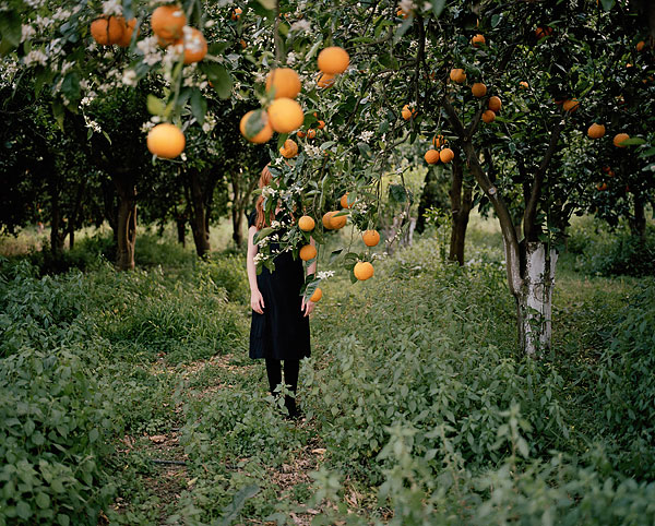 Foto Anni Leppälä - Orange Tree