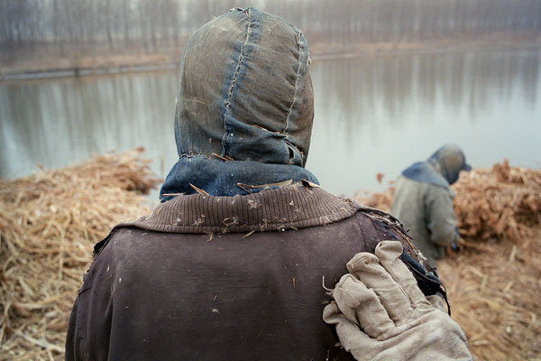 Foto Andreas Seibert, Schilfbündel werden von einem Lastkahn geladen und auf eine Baustelle gebracht. Provinz Jiangsu, 2011