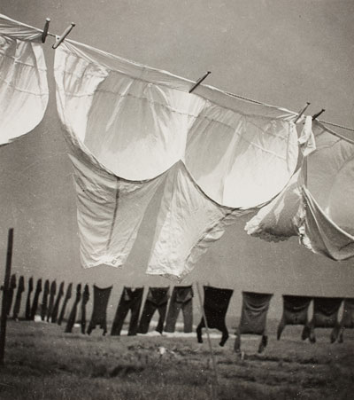Foto Herbert List, Wäsche im Wind, Finkenwerder, 1934