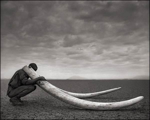 Foto © Nick Brandt, Ranger With Tusks of Killed Elephant, Amboseli, 2011