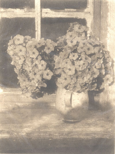 Heinrich Kühn, Stillleben, Blumen in Vase, um 1914