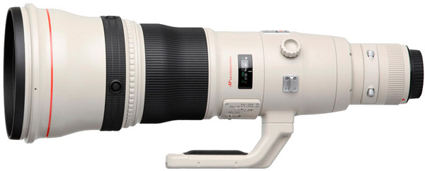 Canon EF 800mm 5.6 L IS USM 