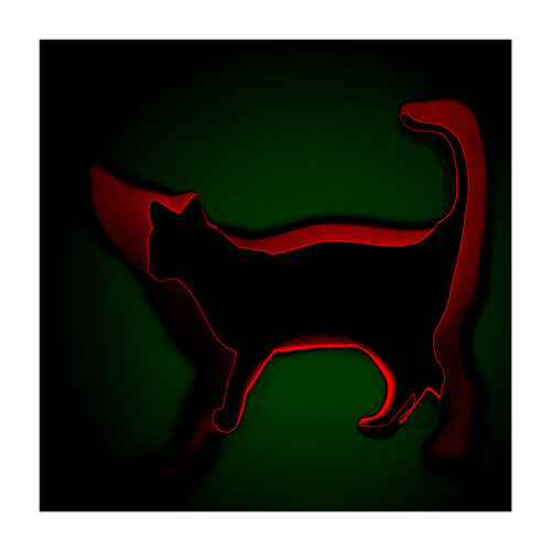 Foto Ulf Saupe: Rote Katze mit schwarzem Schatten