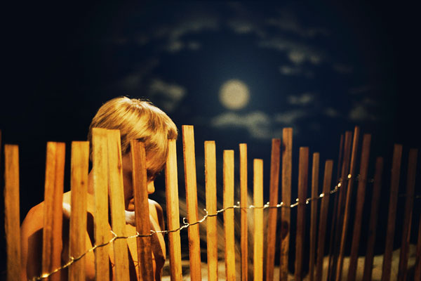 Foto Jeff Burton: untitled #151 (picket fence), 2001