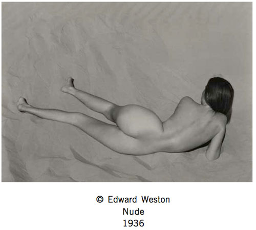 Foto Edward Weston - Nude, 1936