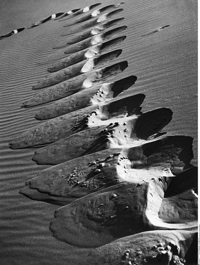 Foto Alfred Ehrhardt: Spur (des Menschen) am Steilhang einer Düne der Kurischen Nehrung, 1934