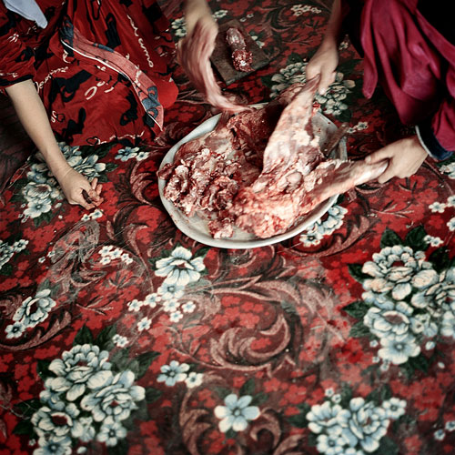 Foto Daniel Schwartz: Das Lamm. Sary Tash, Kirgistan 2004