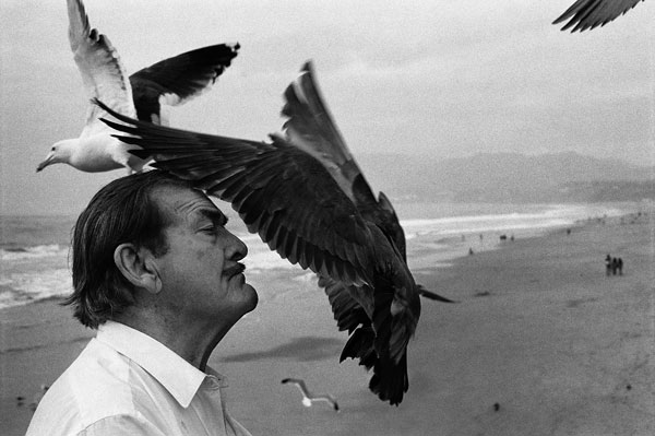 Foto Just Loomis: The Birdman, Santa Monica, ca. 2000