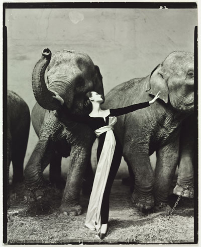 Foto Richard Avedon: Modell mit Elefanten, Paris August 1955