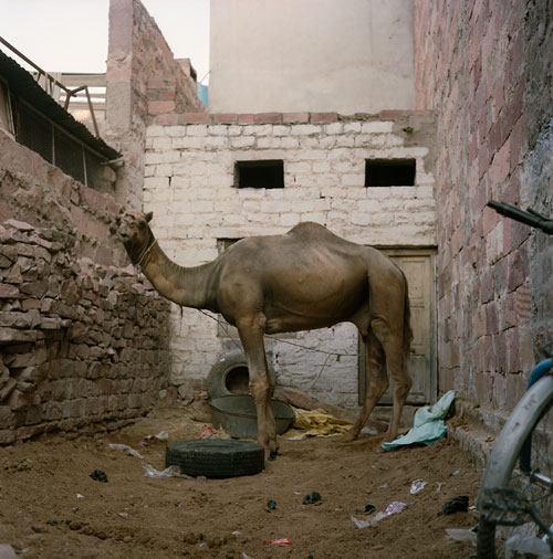 Foto Yana Wernicke, 21 Jahre, aus der Serie: Indien
