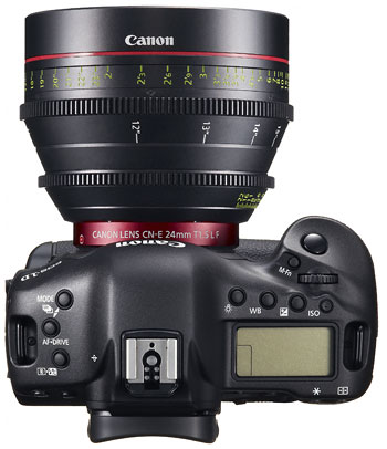 Foto der Oberseite der EOS-1D C von Canon