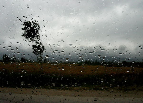 Foto Abbas Kiarostami, o. T. (aus der Serie Rain and Wind), 2007