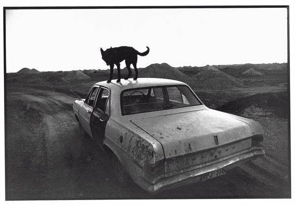 Foto Wim Wenders: Dusk in Coober Pedy, 1978