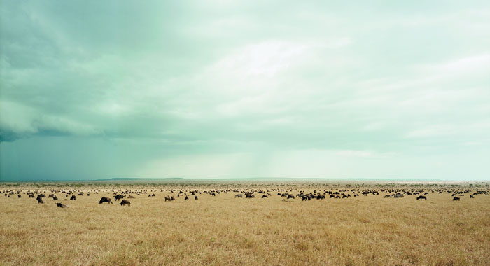 Foto Sze Tsung Leong, Masai Mara I, 2009