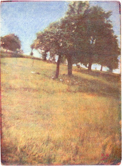 Heinrich Kühn, Wiese mit Bäumen, 1897
