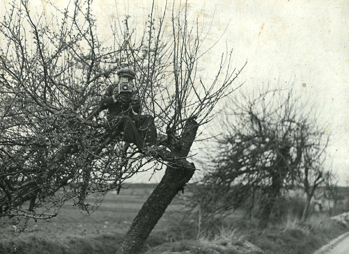 Fotograf unbekannt, Photographe dans un arbre, 1932