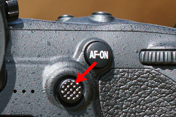 Nikon D500: Sub-Selector