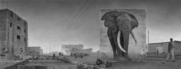 <strong></strong>” title=”<strong></strong>” /></p>
<p><i>© Nick Brandt, road with elephant, 2014</i><br /> </p>
</div>
<p>  Denn wie  sehr haben sich die Dinge jetzt schon verändert. Wo früher Zebras standen,  rosten heute Autowracks. Wo früher eine Savanne war, wird heute Tagebau  betrieben. Aus einem Dschungel wurde ein Fabrikgelände – oder eine wuchernde  Müllkippe. Da, wo früher Wildnis war, ist nun die menschliche Zivilisation auf  dem Vormarsch.</p>
<p> Es ist ein  ungewöhnlicher ästhetischer Kunstgriff, mit dem Brandt das Vergehen von Zeit im  Bild sichtbar macht und damit auch einen intelligenten Kommentar auf das Wesen  der Fotografie selbst abgibt. Oft sind nur wenige Jahre zwischen der  ursprünglichen Aufnahme und der Neu-Inszenierung. So entsteht eine  Bild-im-Bild-Neuschöpfung, die eindrücklich deutlich macht, was in den  vergangenen Jahren bereits verloren gegangen ist.</p>
<p> Die  Zerstörungen sind unwiderruflich, denken wir uns beim Betrachten der Fotografien.  Ein mächtiger Elefant steht inmitten einer rauchenden, giftigen  Müllkippen-Ödnis – ein apokalyptisches Werk. Eine Giraffe blickt sonderbar  verloren auf einen riesigen Steinbruch. Ein Schimpanse ruht neben dem Rinnsal  einer Kloake: dramatische Bildwerke, aus denen kein Optimismus, keine Hoffnung  spricht.</p>
<p> <strong>Nick Brandt</strong>: <em>Inherit the Dust.</em> Galerie Camera Work. Bis 9. Juli. <a href=