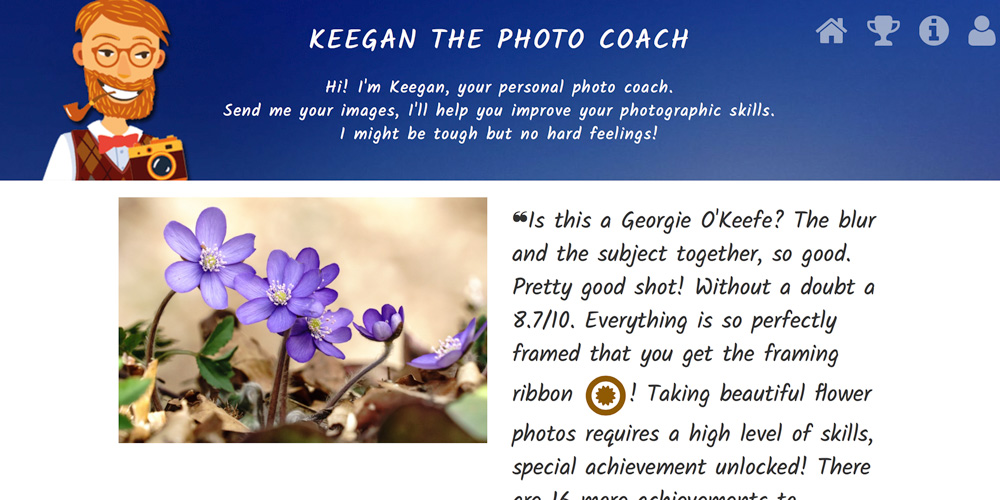 Keegan analysiert Ihre Fotos – automatisch