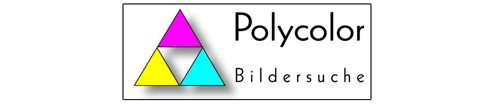 Polycolor Bildersuche findet geklaute Bilder im Web