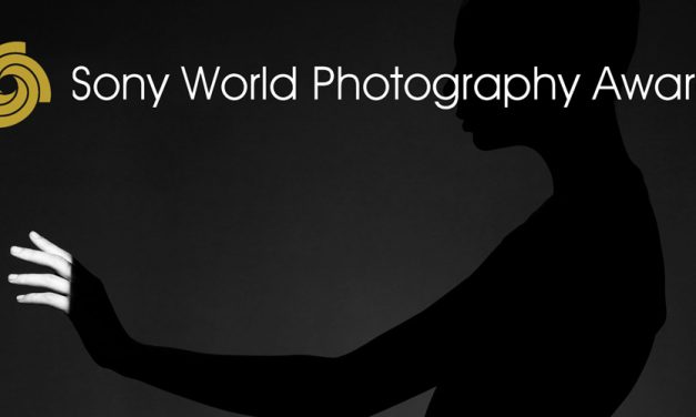 Sony World Photography Awards: So sehen Siegerbilder aus