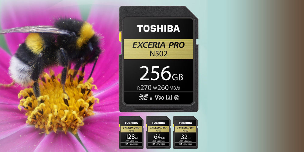 Toshiba Memory bringt neue UHS-II-Speicherkarten