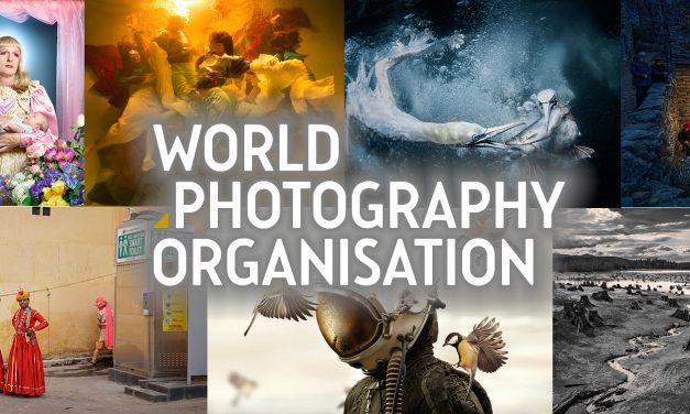 Sony World Photography Awards 2019: Die ersten Gewinner stehen fest
