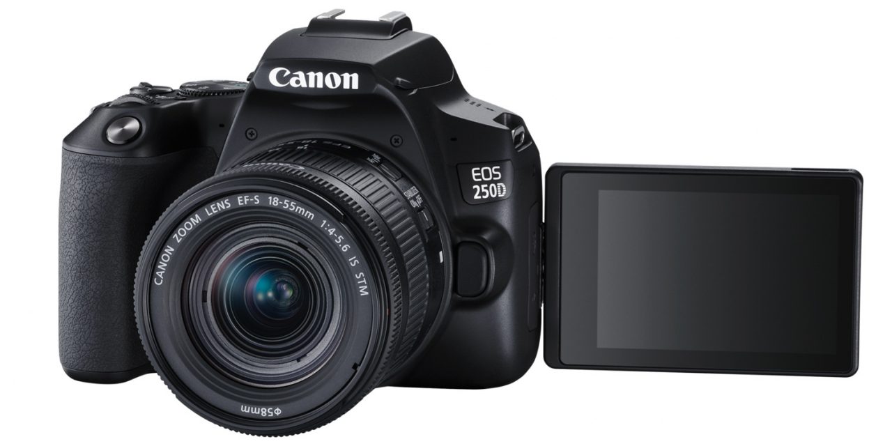 Canon EOS 250D: Neue Einsteiger-DSLR mit 4K-Video und verbessertem Autofokus