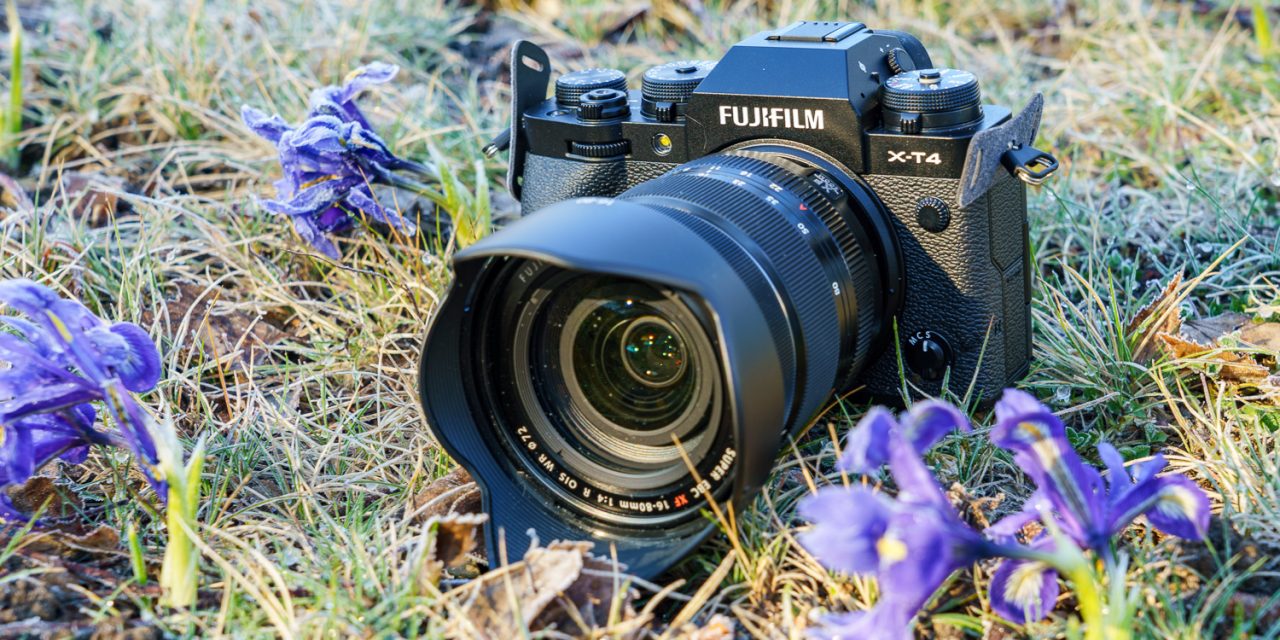 Fujifilm X-T4 schon ausprobiert: Die neue Königin der APS-C-Spiegellosen?