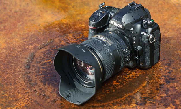 Nikon D780 im Einsatz: Die Grenzen zwischen DSLR und Spiegelloser verschwinden