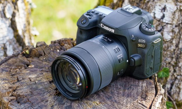 Canon EOS 90D ausprobiert: Eine Alternative zur spiegellosen EOS M6 Mark II?