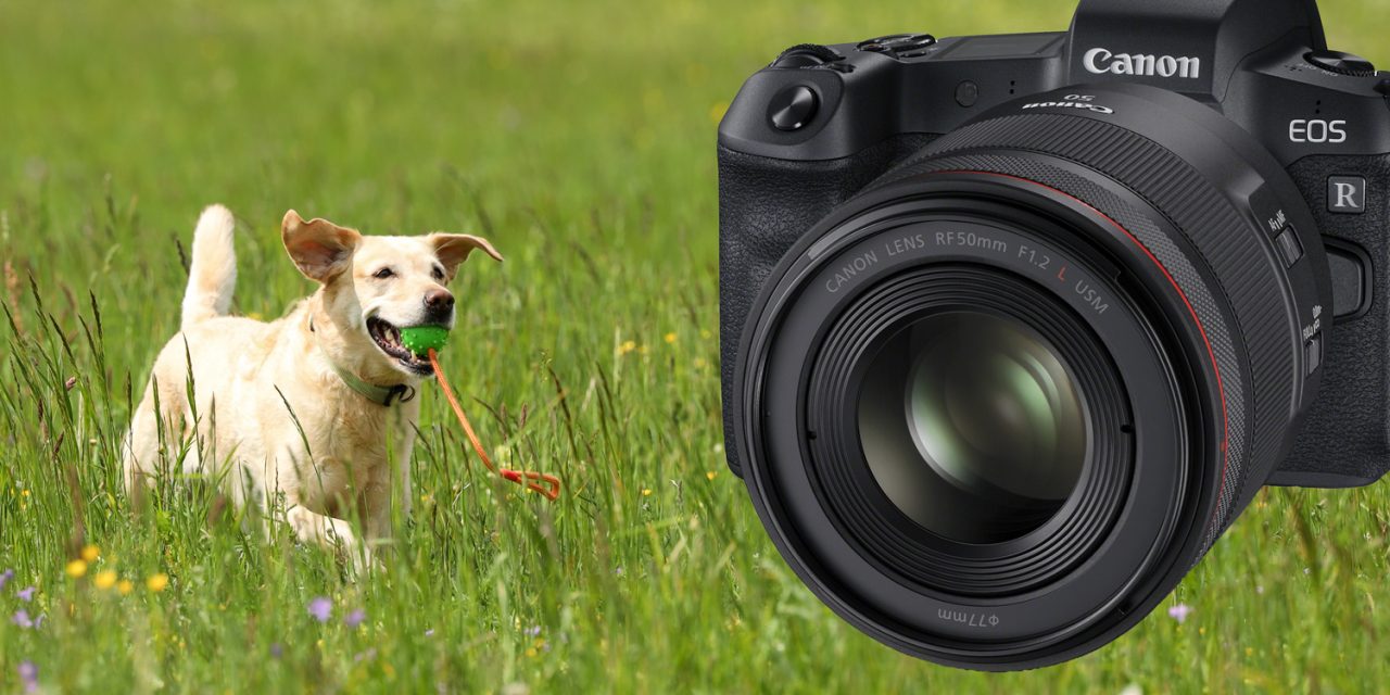 Canon EOS R: Autofokus mit aktueller Firmware erneut ausprobiert