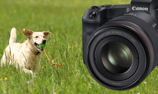 Canon EOS R: Autofokus mit aktueller Firmware erneut ausprobiert