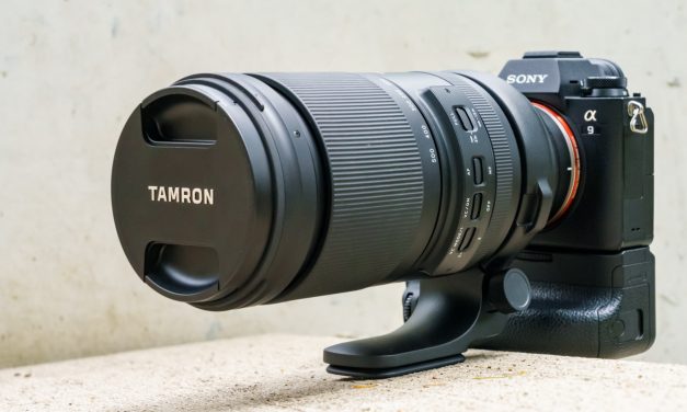 Ausprobiert: Tamron 150-500 mm F5-6.7 Di III VC VXD für Sony E