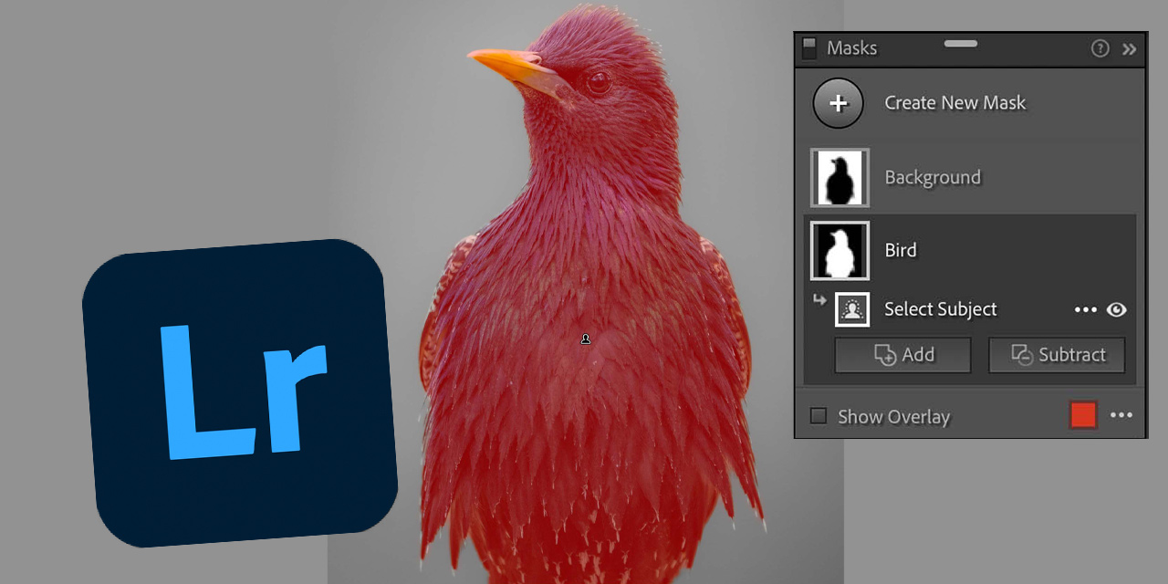 Lightroom und ACR: Adobe enthüllt neue Maskierungs-Tools mit automatischer Motiverkennung