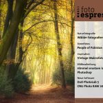 fotoespresso 5/2021: Gratis-PDF steht zum Download bereit