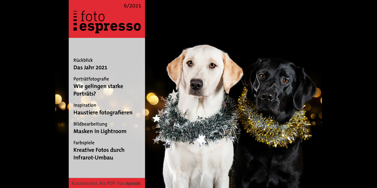 Gratis-PDF fotoespresso 6/2021 steht zum Download bereit