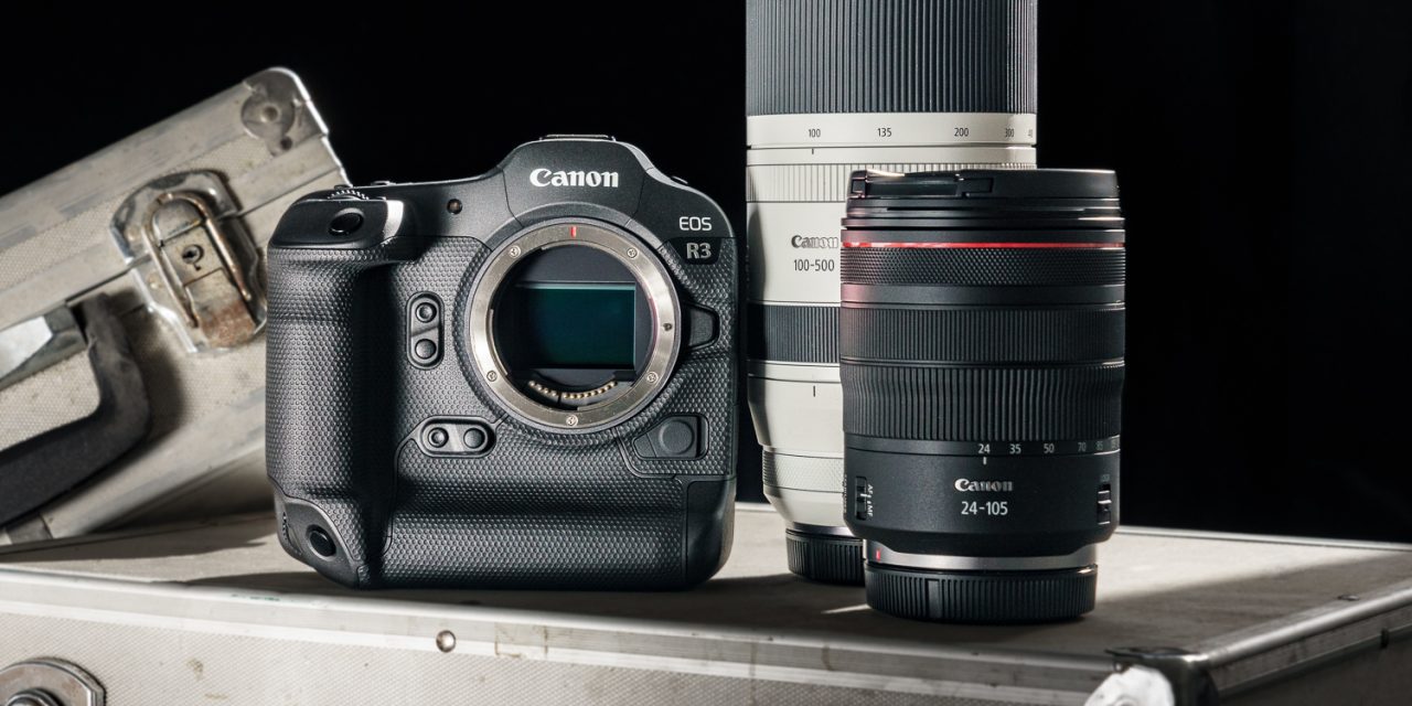 Test: Canon EOS R3 mit RF 100-500 mm F4.5-7.1L IS USM im Einsatz