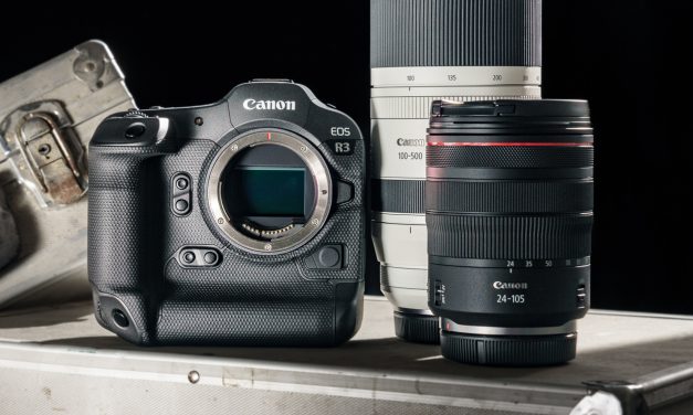 Test: Canon EOS R3 mit RF 100-500 mm F4.5-7.1L IS USM im Einsatz