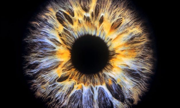 Open Your Eyes – Fotofestival will Wissenschaft und Kunst zusammenbringen