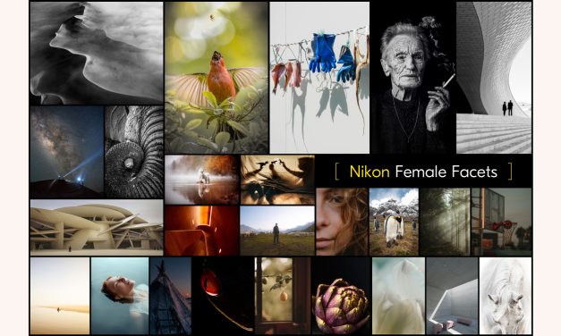 Nikon „Female Facets“: Kostenlose Online-Kurse für Fotografinnen